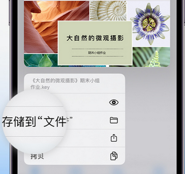 门头沟apple维修中心分享iPhone文件应用中存储和找到下载文件