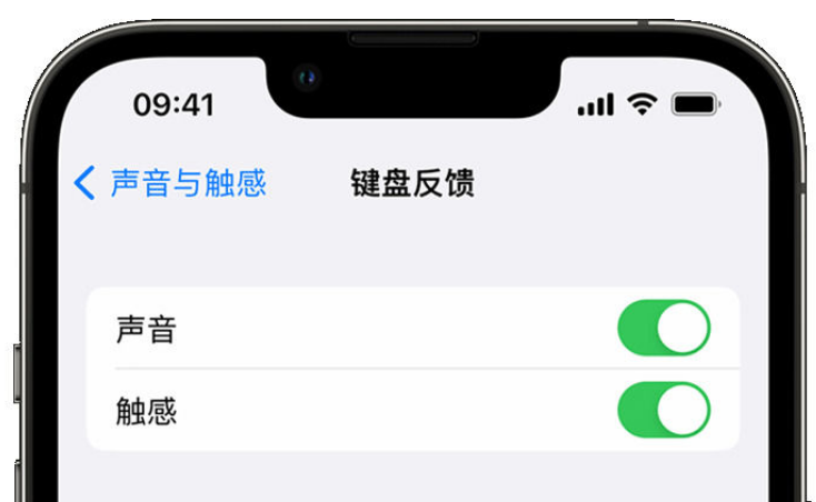 门头沟苹果手机维修分享iPhone 14触感键盘使用方法 