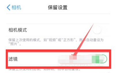 门头沟苹果13维修分享iPhone13拍照有绿点是怎么回事 