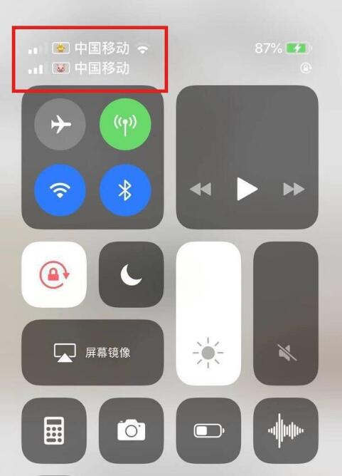 门头沟苹果手机维修分享为 iPhone 12 双卡设置标签 